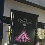 음방 하고 나서 블핑 콘서트 뛴 아이돌