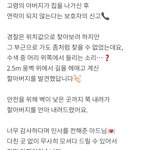 2.5m 웅벽 위 할아버지 <b>구조</b>한 경찰