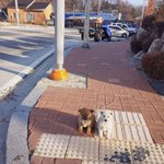 타고나게 <b>눈치</b>없는 애들은
