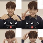 [ZB1] 강아지가 인간이랑 영통 하는데요 ㅠ