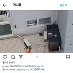 21세기에 벌어지는 <b>잔인</b>한 개학대