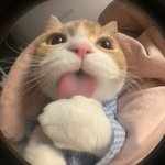 나 <b>고</b>3인데 대학에 관심 ㅂㄹ 없단 <b>말</b>임?