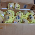 [댓글부탁해] [방탈죄송] <b>최악</b>의 온라인 과일쇼핑몰