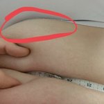 [댓글부탁해] 뱃살에 <b>브라</b> 말려올라가는게 흔한거임??