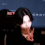 현진 <b>타미</b>힐피거