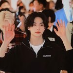 현진 <b>타미</b>힐피거