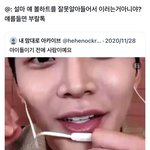 올해본<b>트윗</b>중에젤웃김