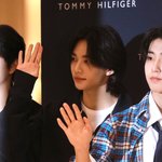 현진 <b>타미</b>힐피거