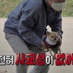[댓글부탁해] ㅅㅂ 얘들아 수능까지 <b>수학</b>만 파면