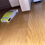 얘들아 진짜 혐주의 <b>침대밑</b>에