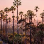 You're <b>everywhere</b>