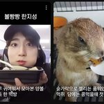 [스키즈] 아니ㅋㅋㅋㅋㅋ