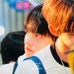 [모두드루와] 어제 자 인천 공항 무쌍 강아지 <b>지은호</b> 봐주라