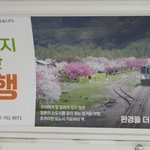 이거 일본 관광지 <b>홍보</b>가 맞죠?