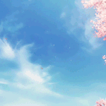 근데 키<b>수술</b> 하는사람 꽤 있는거같음
