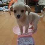 [드루와] 인프제 썸남 고민 좀 들어줘 ㅈㅂ