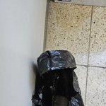 집 현관 앞 이상한 쌀<b>봉지</b>(한웅큼)