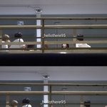<b>멀리</b>봐도 카리나