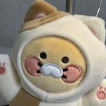 인형 ㅊㅊ좀