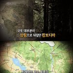 캄보디아 <b>밀림</b> 속에서 발견된 유령 도시