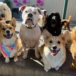 울집 강<b>쥐들</b> 유치원 사진 보고가