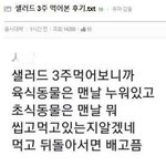 [방탈죄송] <b>샐러드</b>를 3주간 먹은 후기