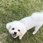 [드루와] 부모님 직업이 <b>목수</b>인데 잘사는게 가능함?