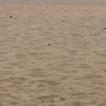 내 룸메 너무 예민충임 ㅠㅠ