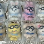 [스키즈] 내 새꾸들 와땨!!