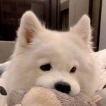 죽주<b>향수</b>가 뭔지 아는사람