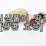 <b>모해</b>?
