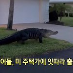 <b>주변</b> <b>사람</b>들이 다 너무 공부를 잘했어서