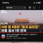 [댓글부탁해] 중국은 나라도 싫은데 국민까지 싫음