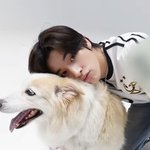 [엔하이픈] 강아지상 남돌+강아지=<b>극락</b>