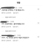 [댓글부탁해] 하 <b>릴</b>스댓글 걍 토나온다 무슨<b>릴</b>슨<b>지</b> 맞춰봐