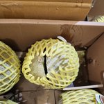 G마켓의 어이엄는 고객<b>응대</b>..ㅠㅠ