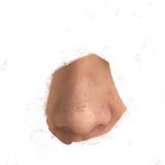 코수술 하고싶은데