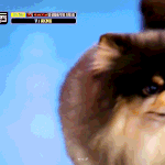 얘 엠카 <b>직캠</b> 100만뷰임 이건 꼭 봐야됨