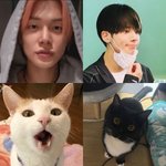 [TXT] 냥 먕
