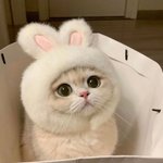 확실히 판이 아무 생각없이 <b>글</b> 올릴때 좋음
