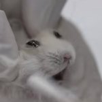 18년 모쏠판녀의 남친생기면 하고싶은거 <b>버킷</b>리스트