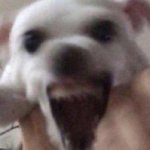 나 짝남 앞에서 <b>대자</b>로 자빠짐