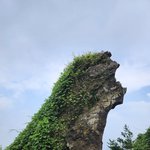 [19] 박판녀;; 추석 <b>제주</b>도 왔는데 이거 뭐야?