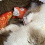 [19] <b>장녀</b>들아 들어와바