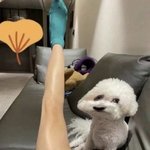 마라탕후루 유행