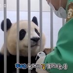 20대가 연애 안 하는 이유