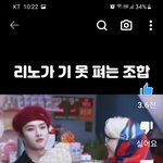 [스키즈] 리노 기 못 펴는 조합