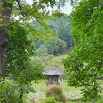 <b>아침</b>고요수목원
