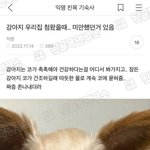 아니 휴일인데 <b>리젠</b>봐