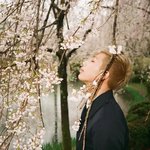 방탄 <b>알</b>엠 <b>화</b>양연화